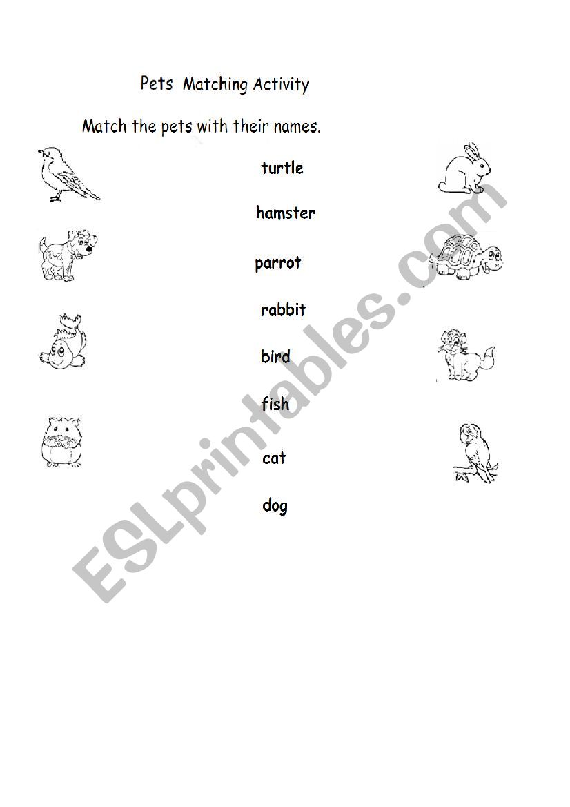 Pets matching activity worksheet