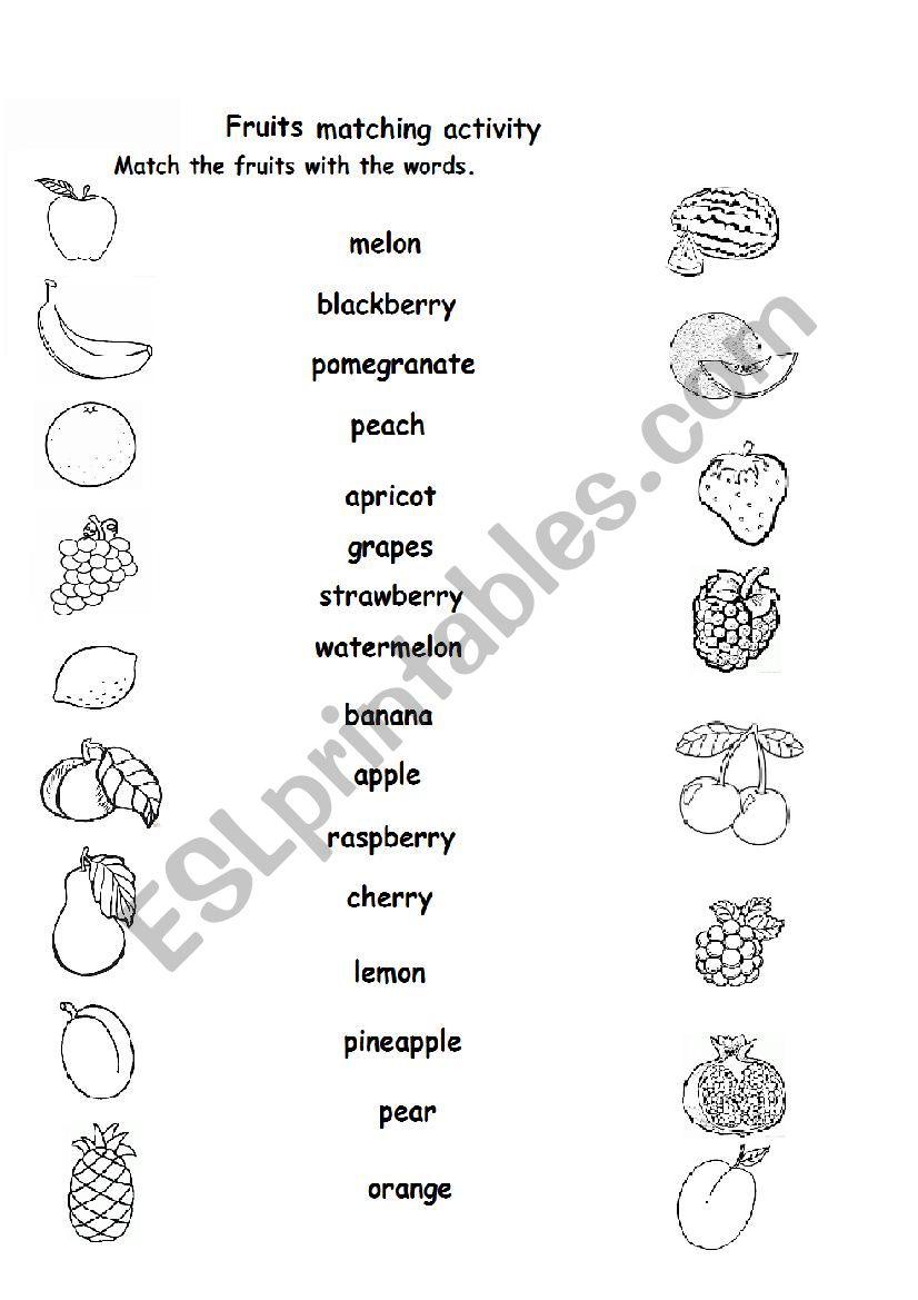 Fruits matching activity worksheet