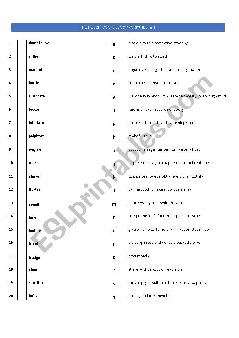 Vocabulary Worksheet based on book 