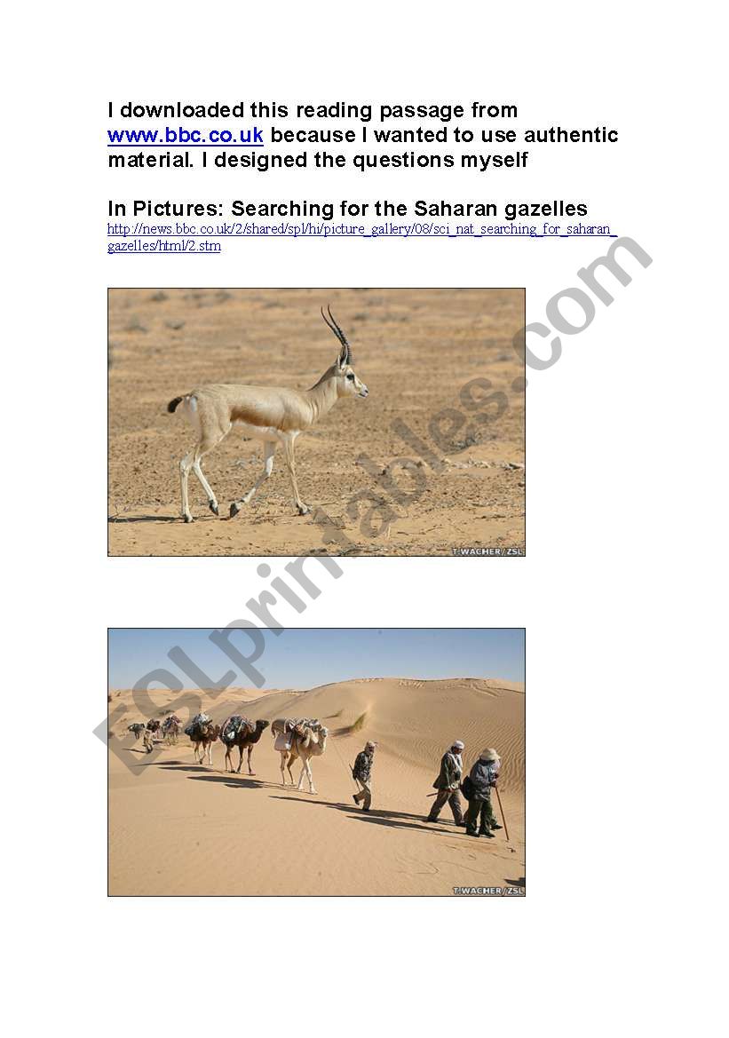 Searching for the Saharan gazelles