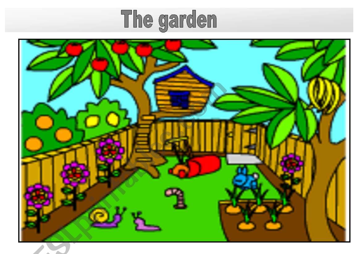 Rooms in the house flashcards: the garden