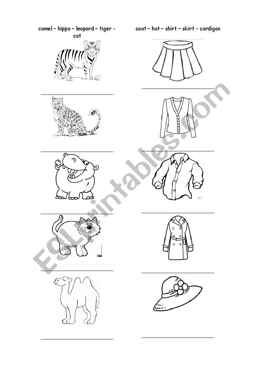 Animals and clothes from Hippo Has a Hat