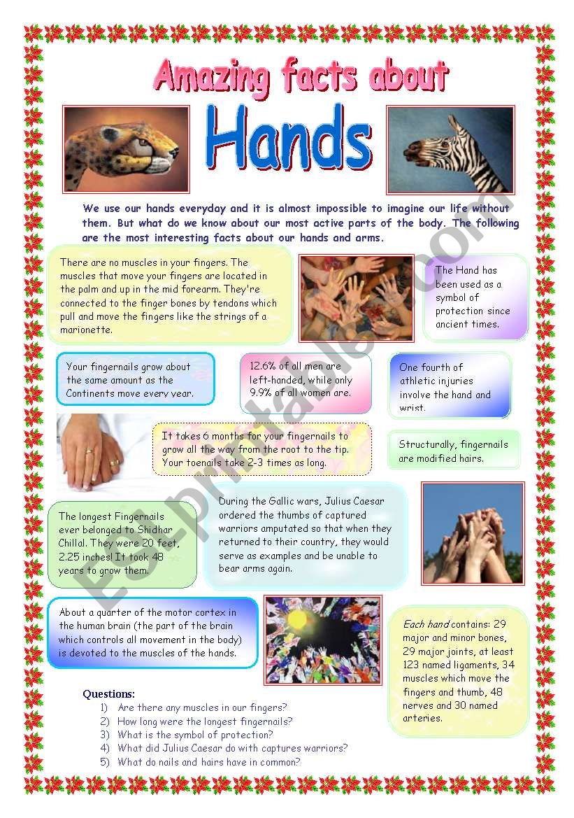 Amazing facts about hands worksheet