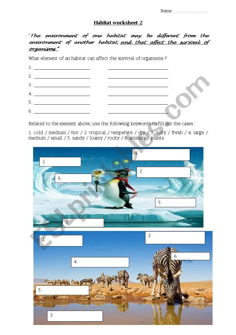 Environment of an habitat worksheet