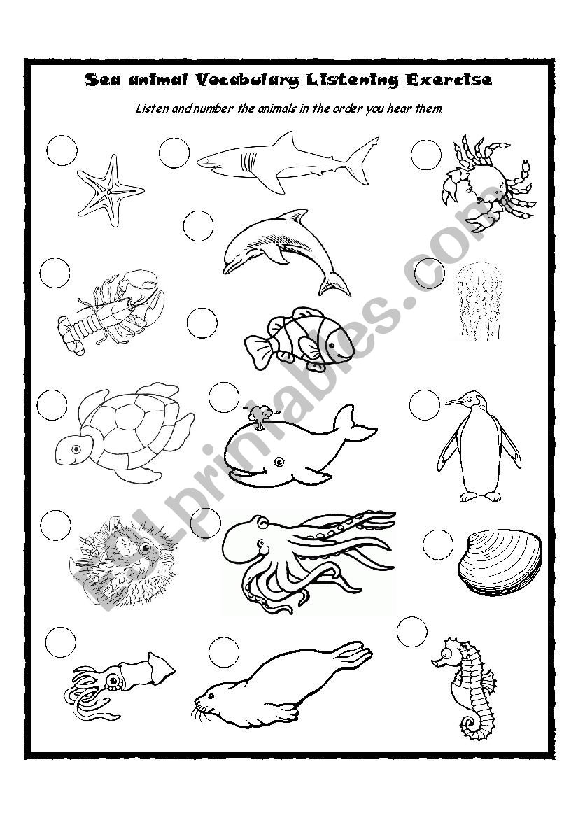 Sea Animal Talking Flashcards Listening Activity