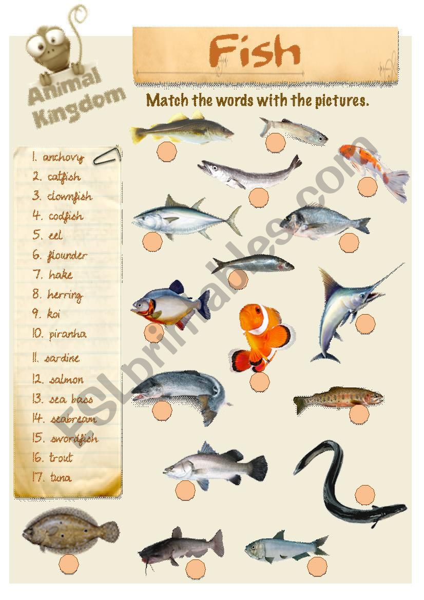 Animal Kingdom - Fish (2) worksheet