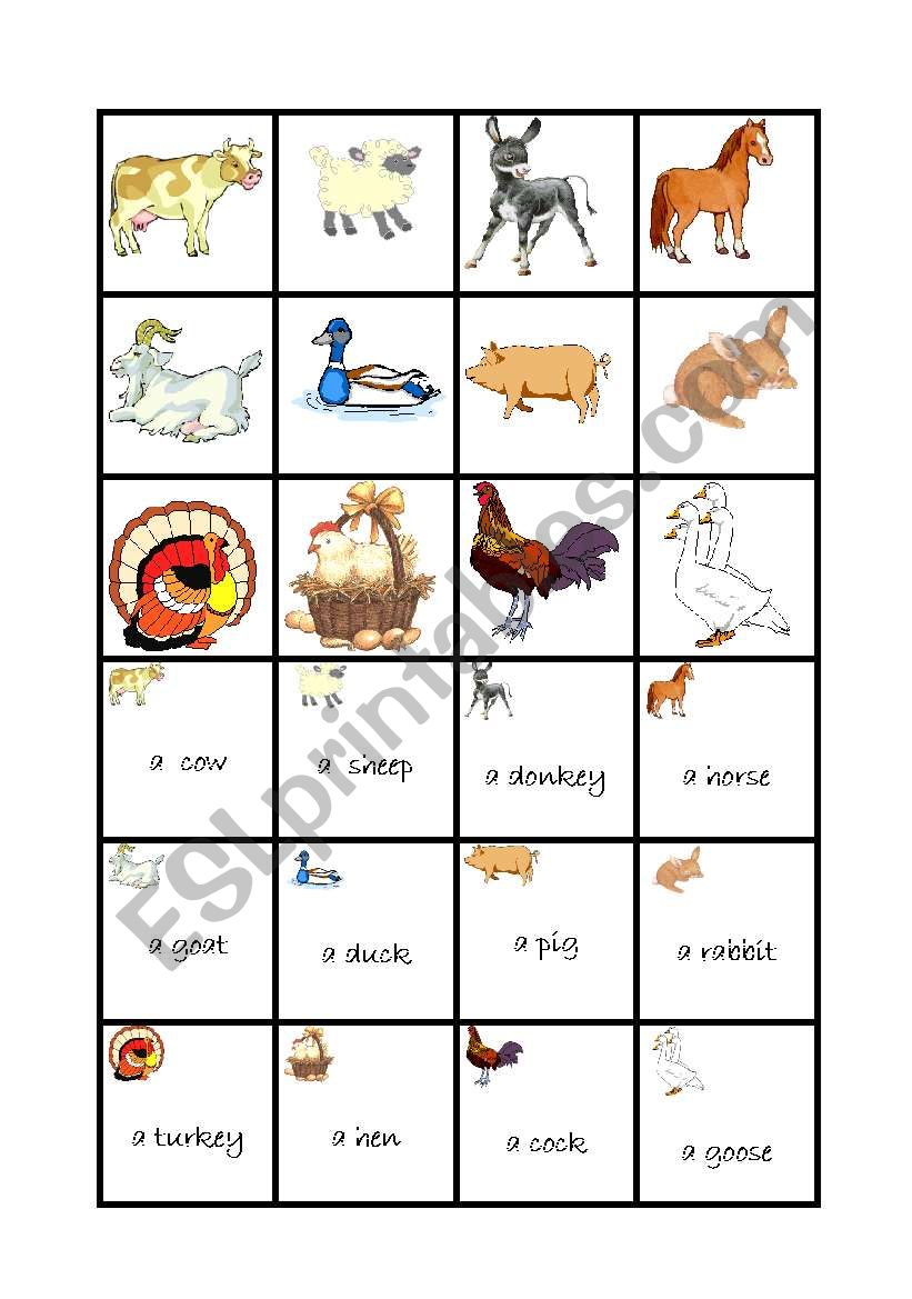 farm animals  worksheet