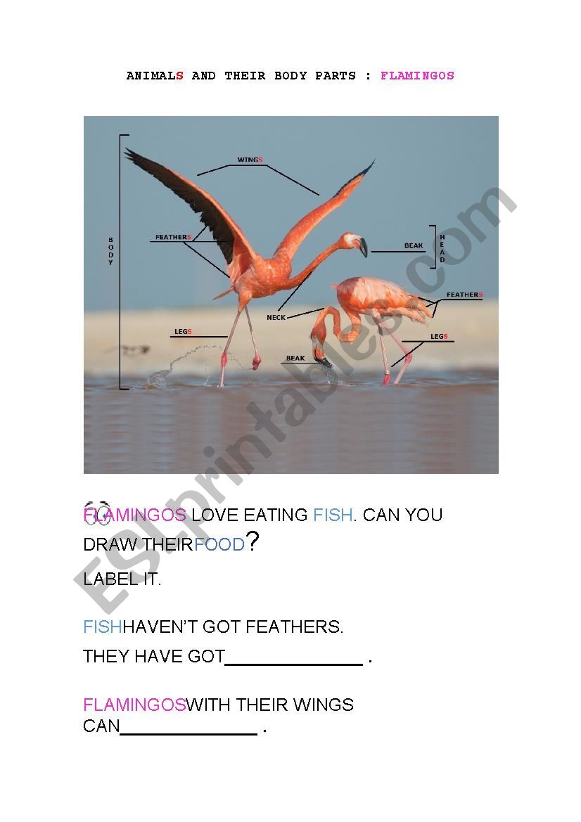 ANIMAL BODY PARTS: FLAMINGOS worksheet