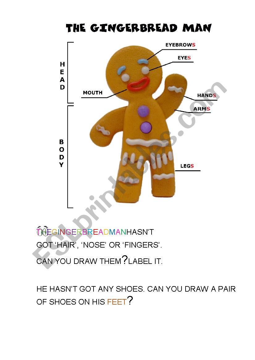 THE GINGERBREAD MAN worksheet