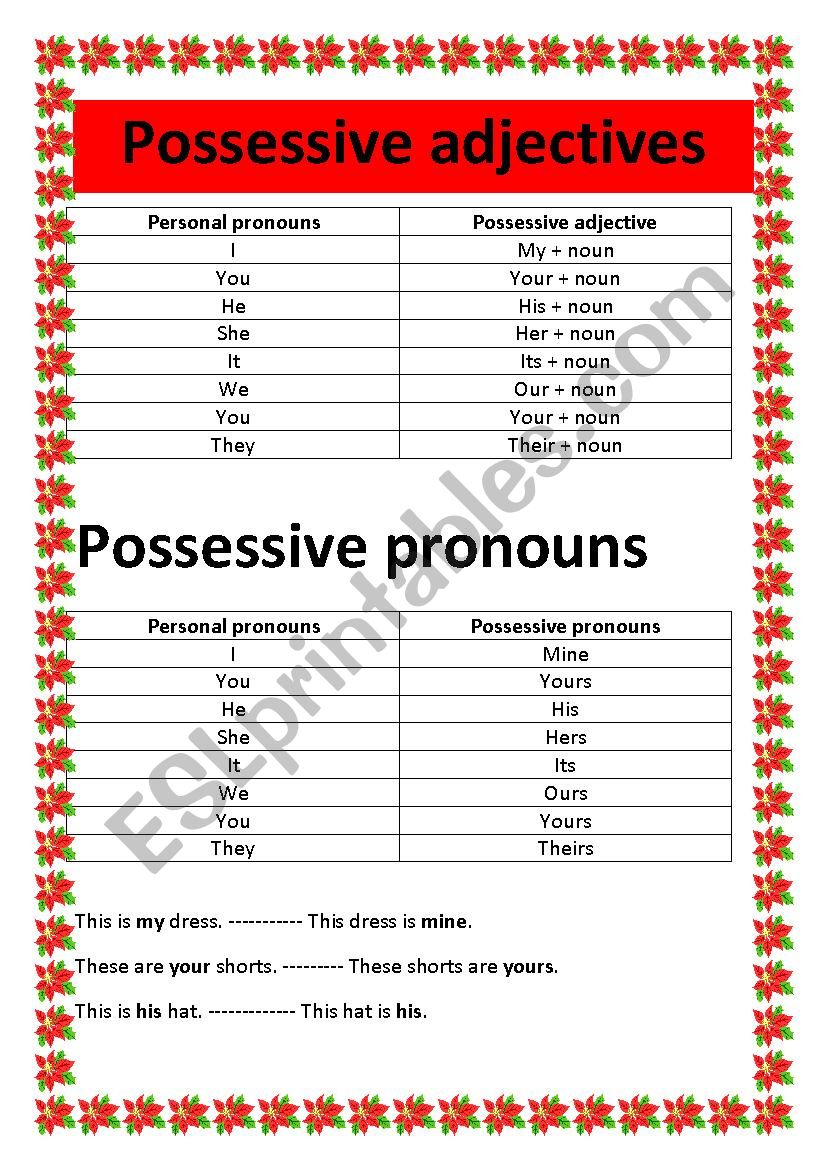 possessive adjectives and possessive pronouns