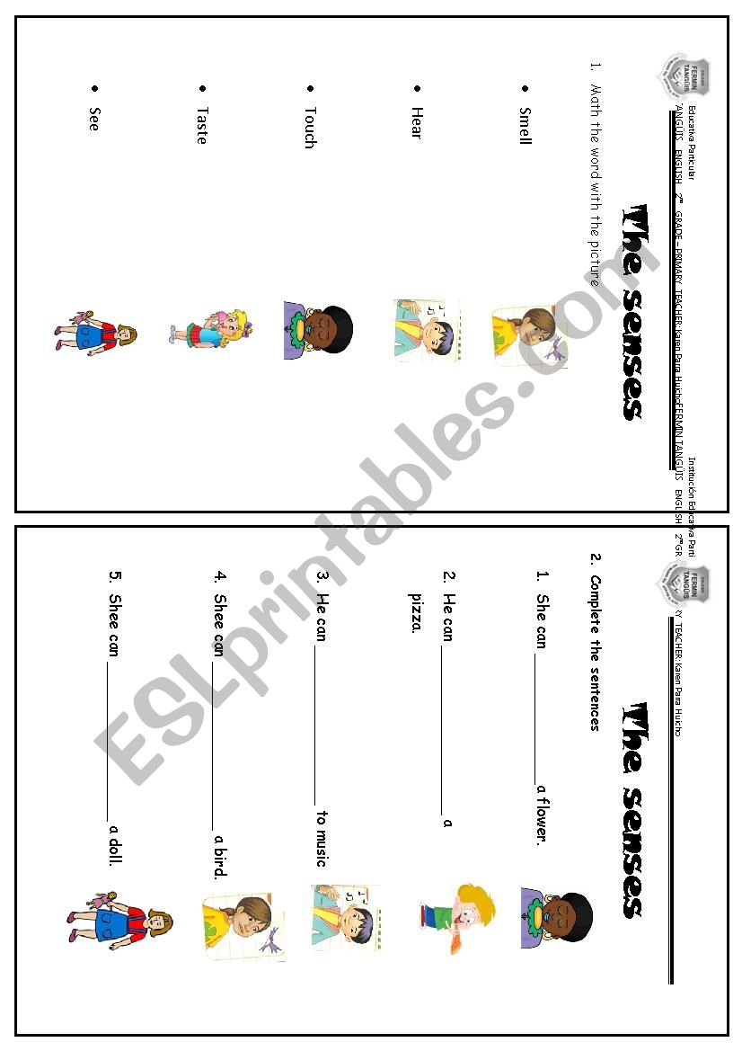THE SENSES worksheet
