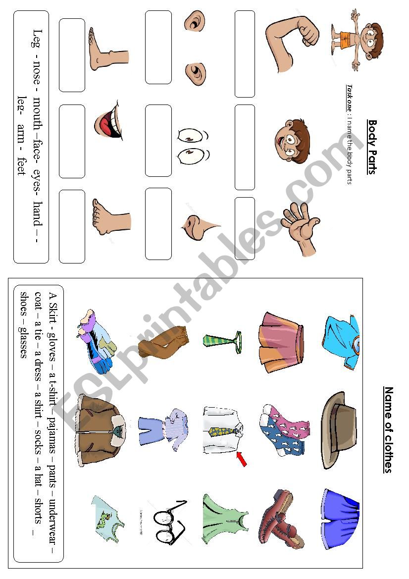 BODY PART AND CLOTHES  worksheet