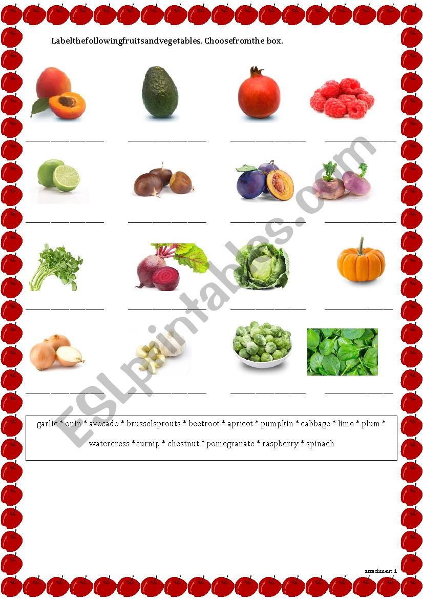 Fruits and vegetables worksheet