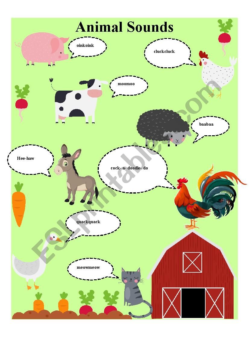 Animal Sounds worksheet