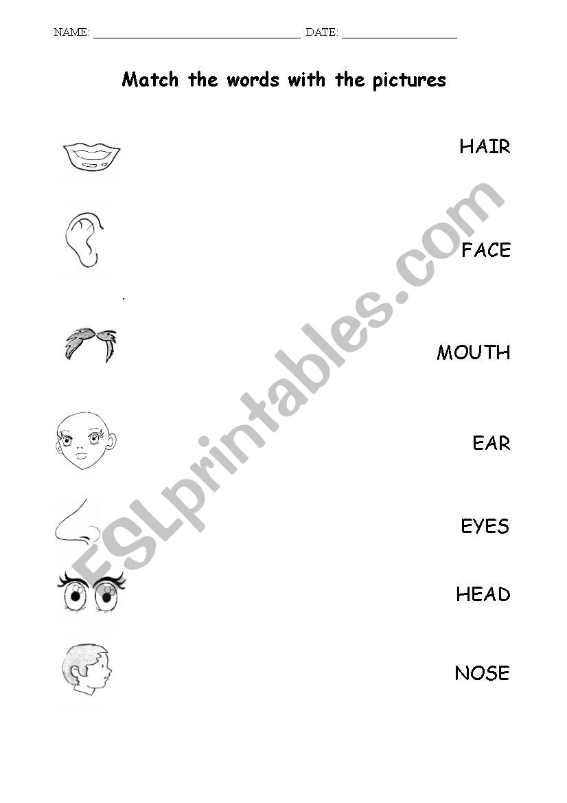 Match Body worksheet