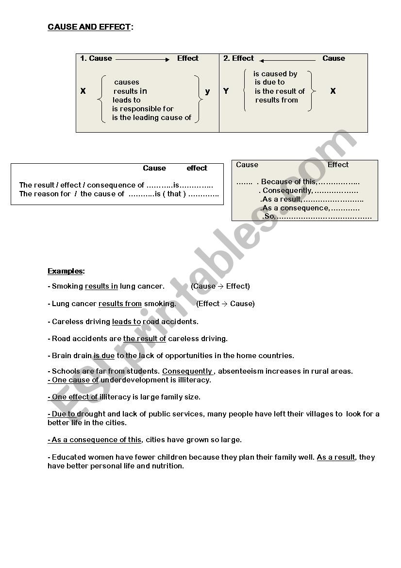 cause and effect worksheet