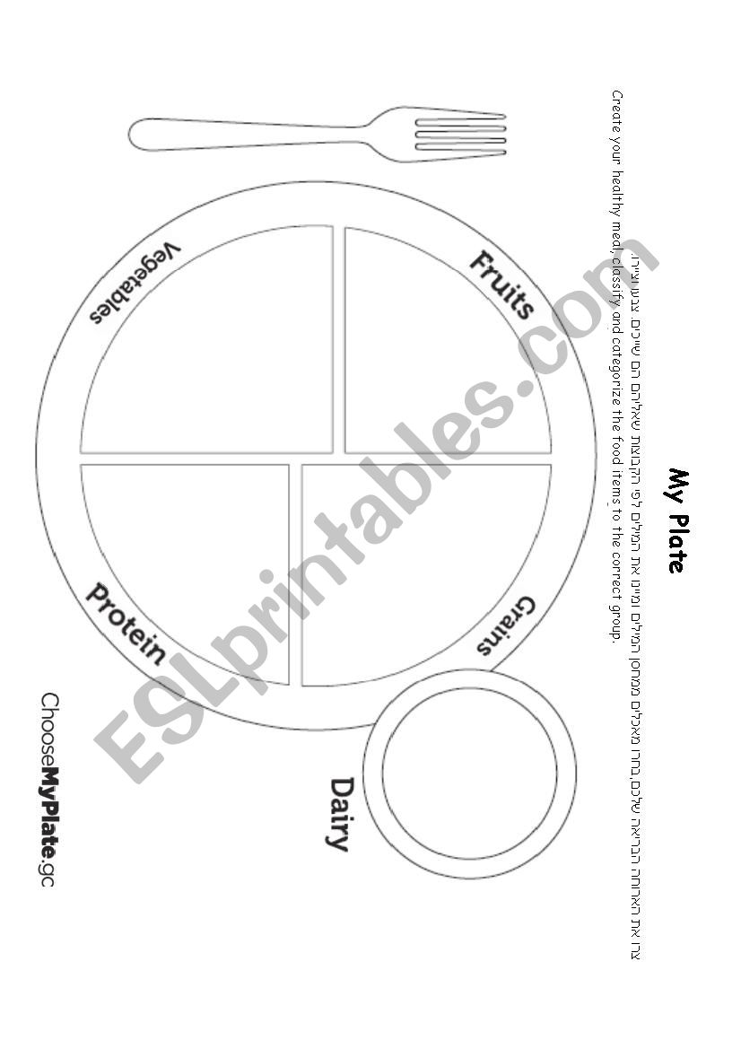 My plate worksheet worksheet