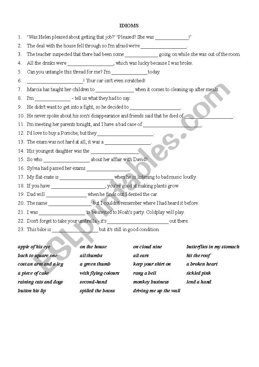 Idioms worksheet