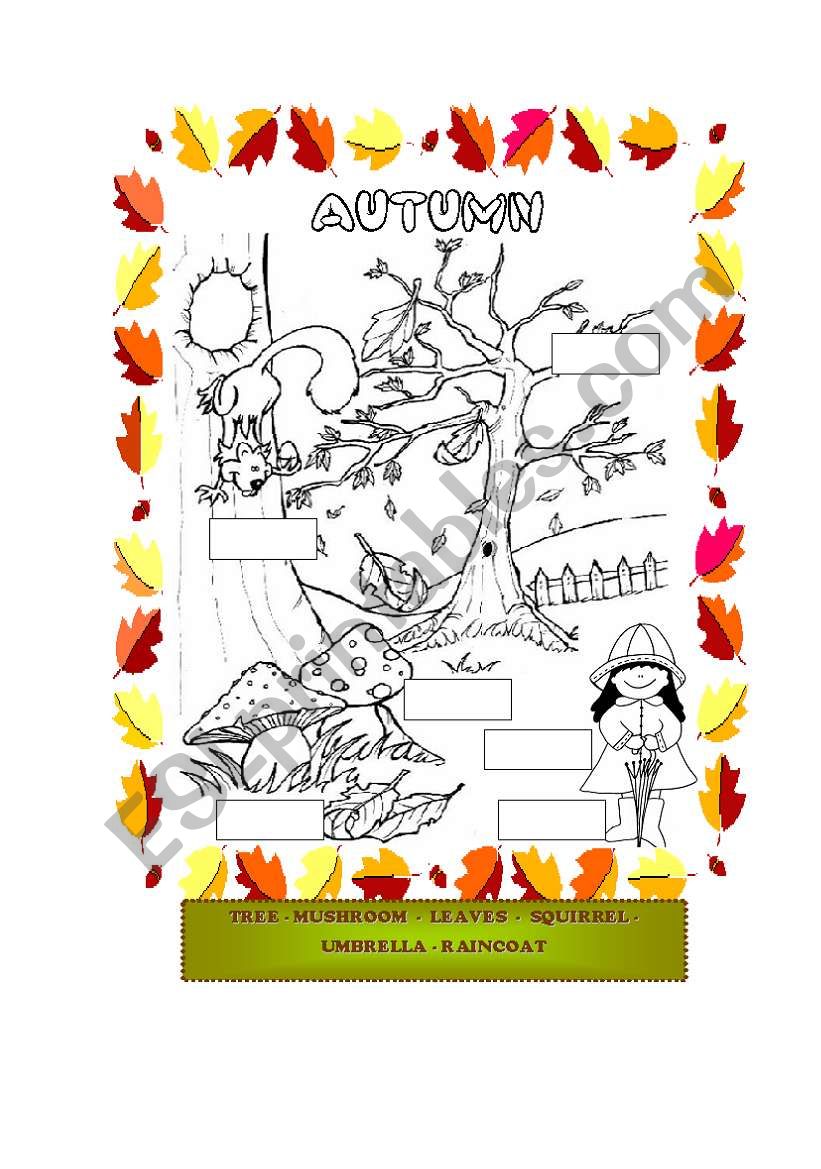 Autumn worksheet