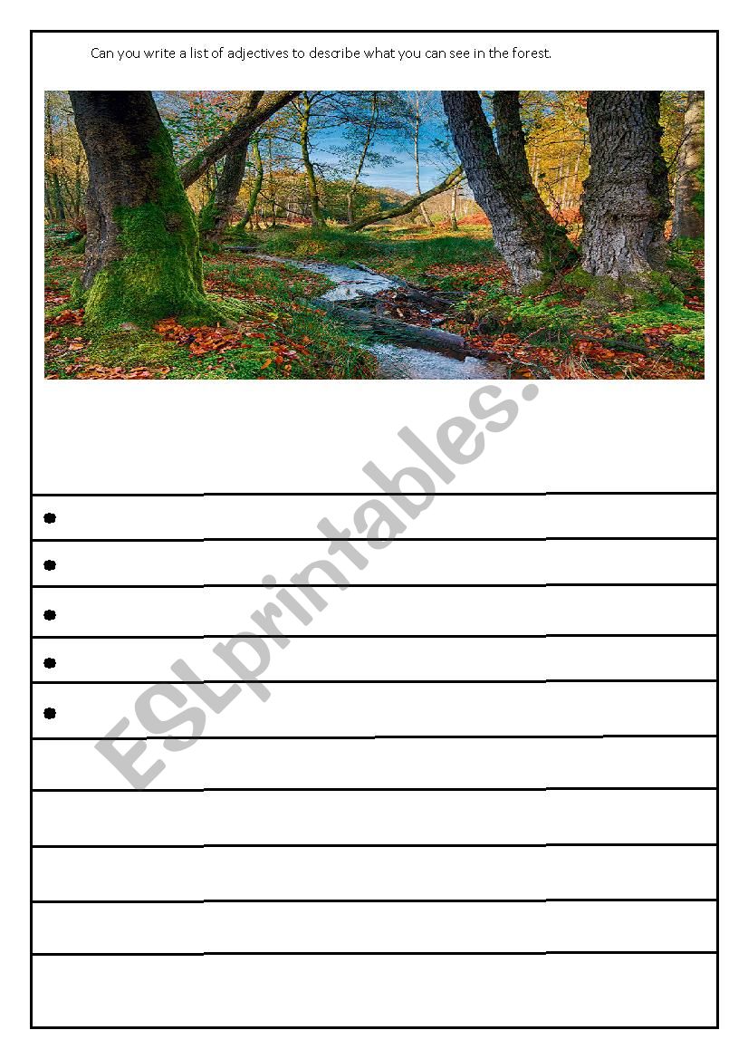 woodland adjective worksheet