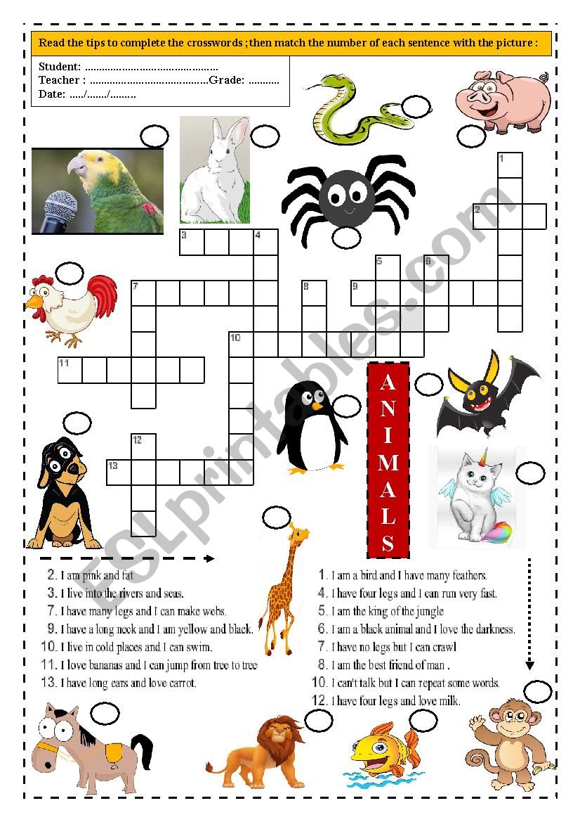 ANIMALS worksheet