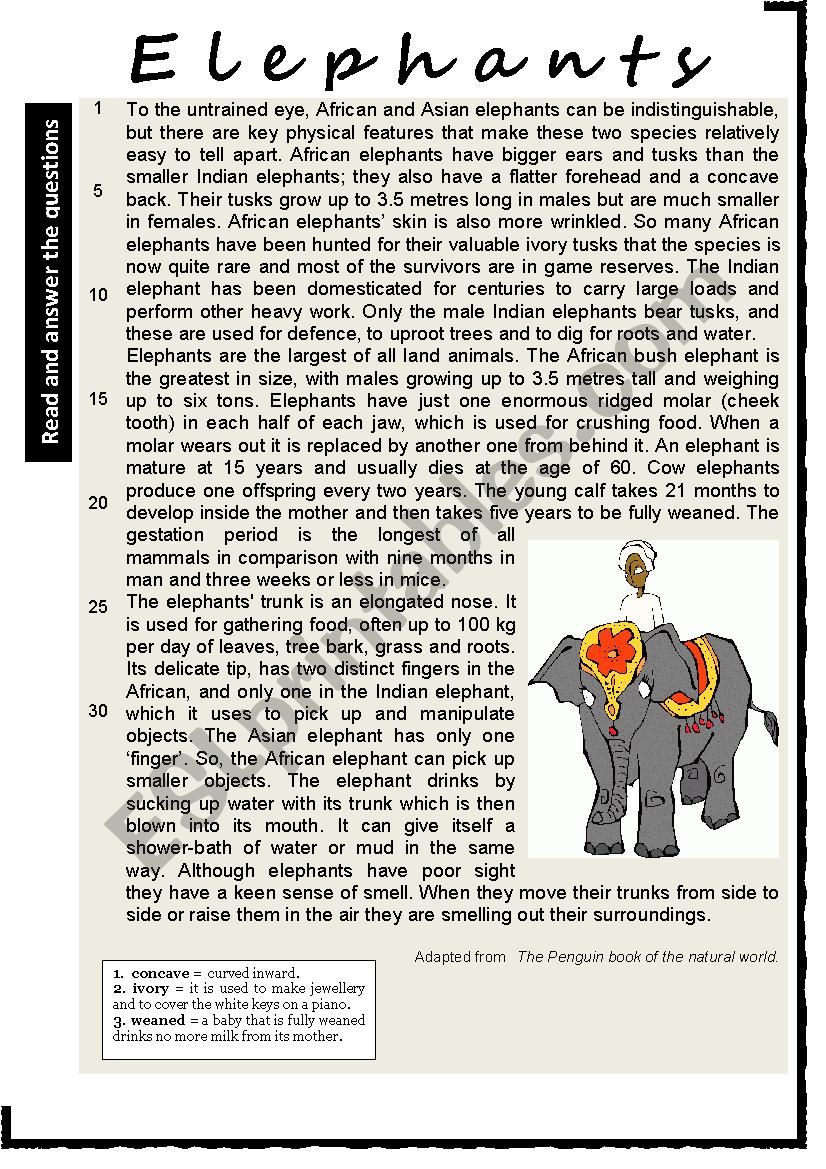 ELEPHANTS. Reading Comprehension. Varied questions and vocabulary work + KEY.