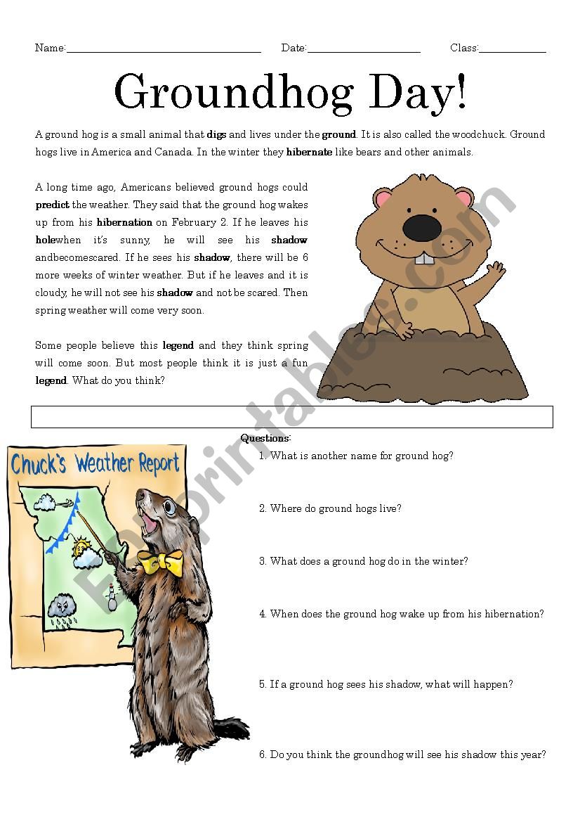 25-best-of-what-is-groundhog-day-worksheet