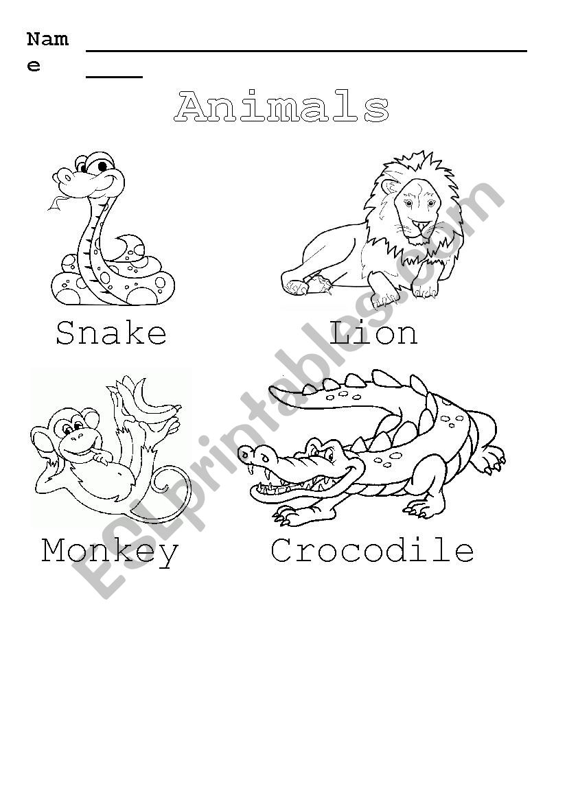 Animals worksheet