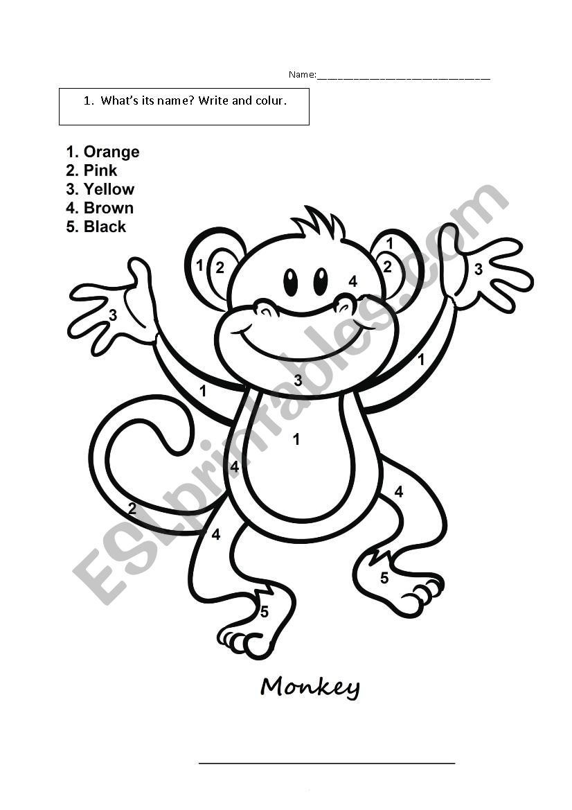Animals: the monkey worksheet