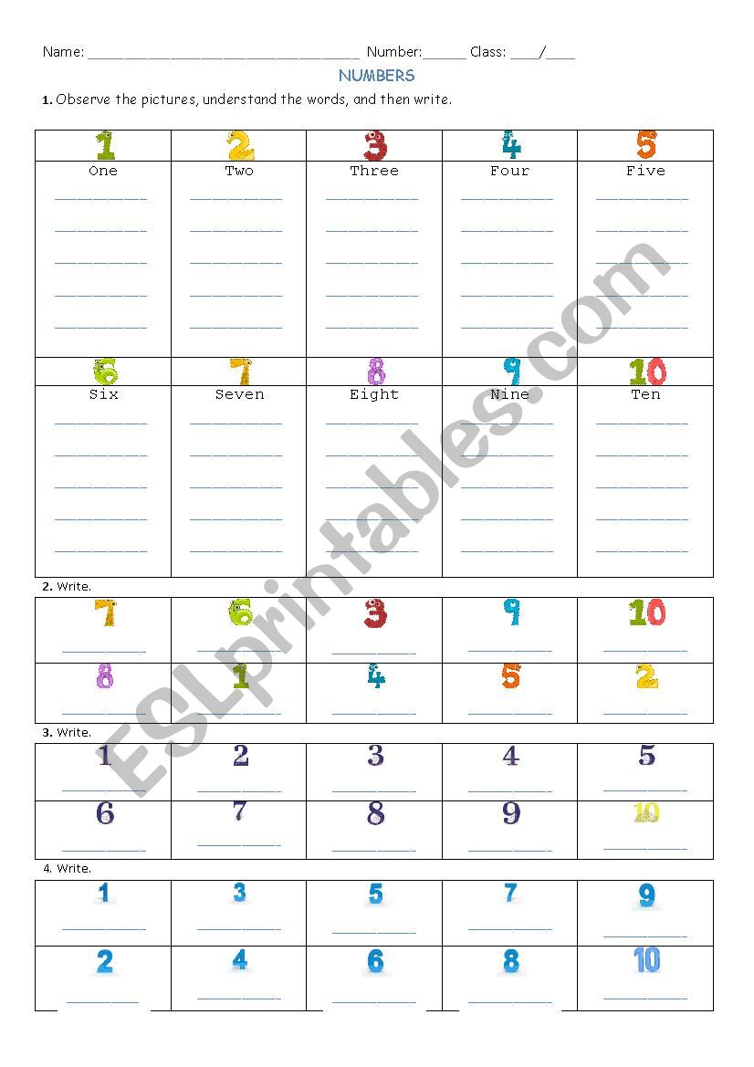 Numbers activity for kids worksheet