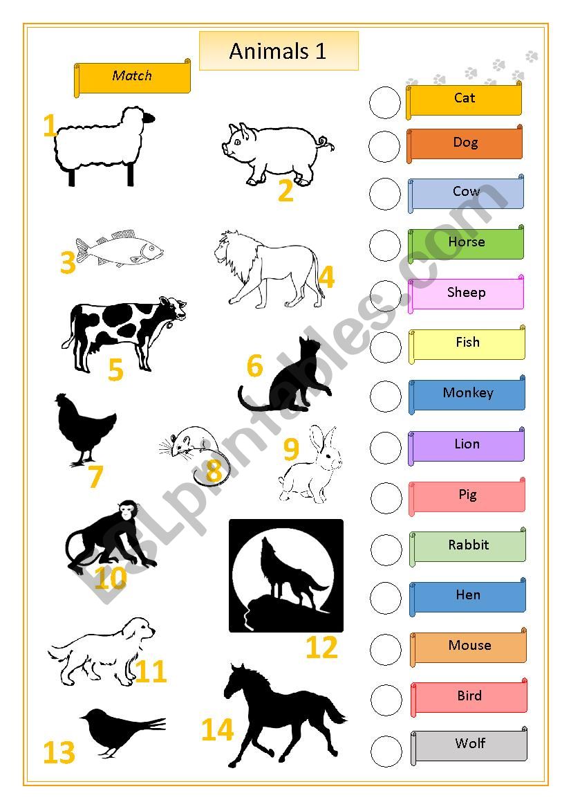 Animals 1 worksheet