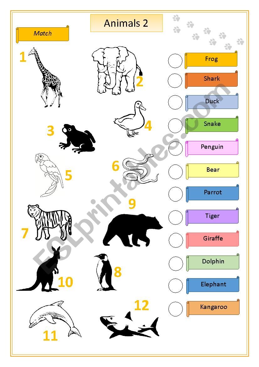 Animals 2 worksheet