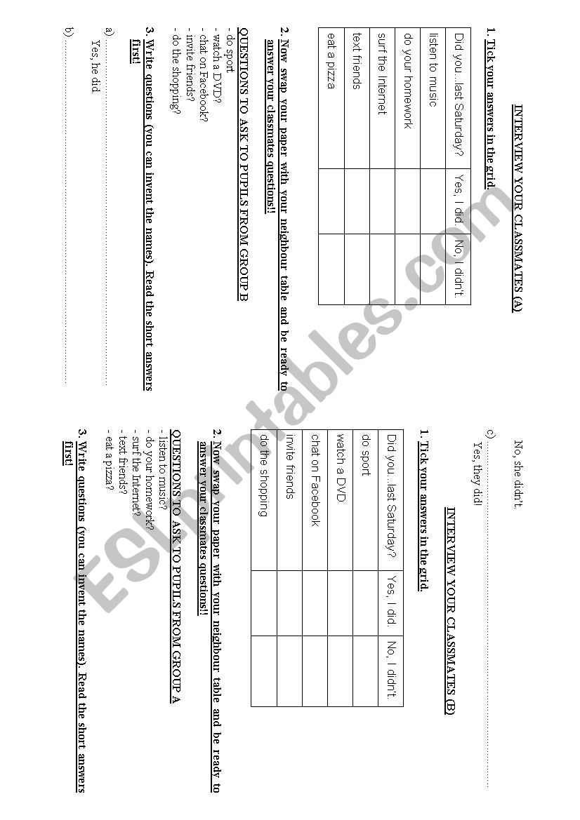 PAIRWORK DID YOU...? worksheet