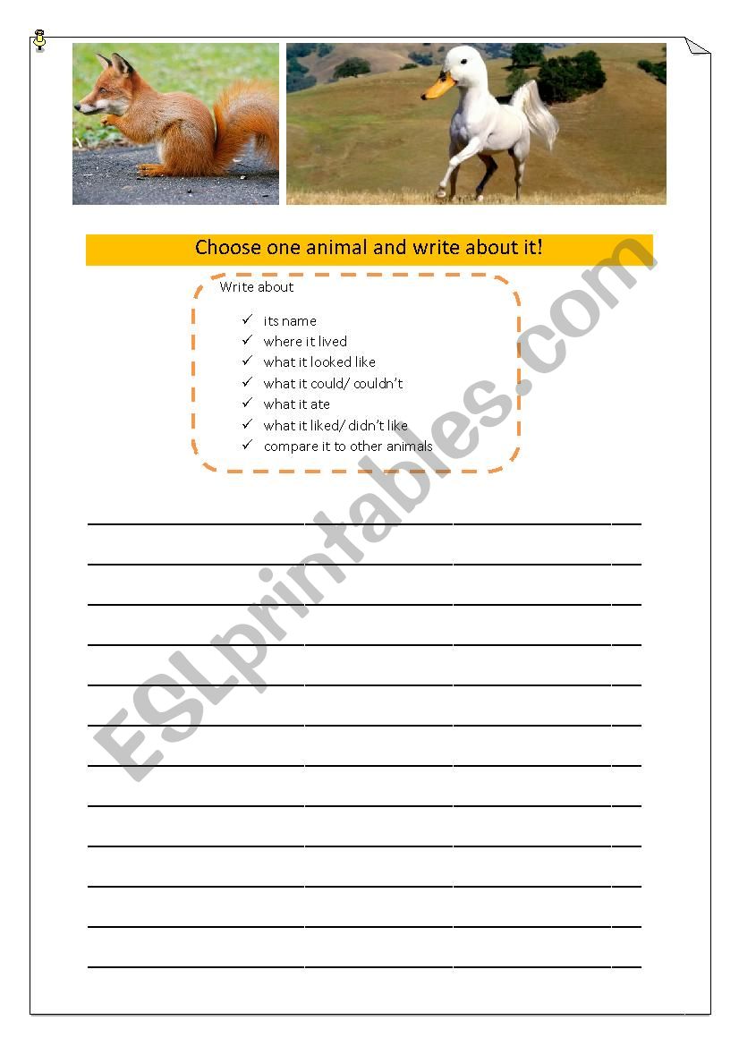 Choose one animal and write about it