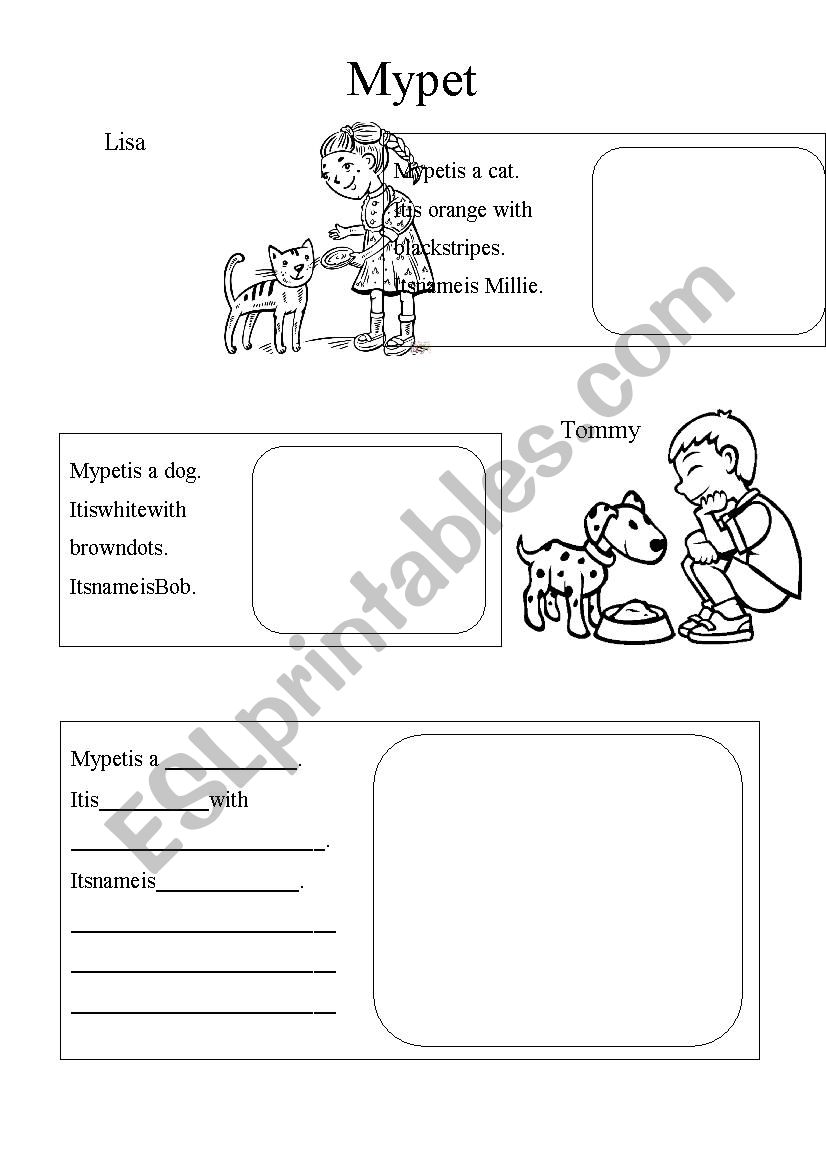 My pet worksheet