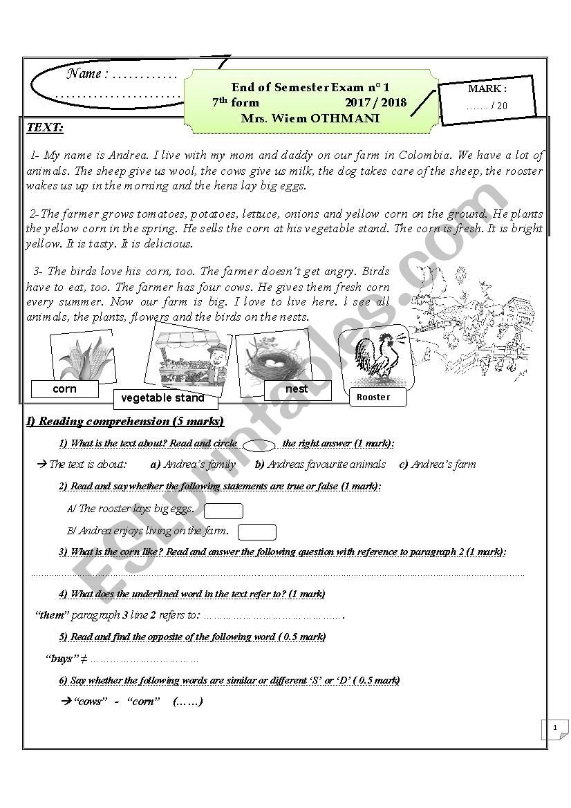 exam n 1 7th form worksheet