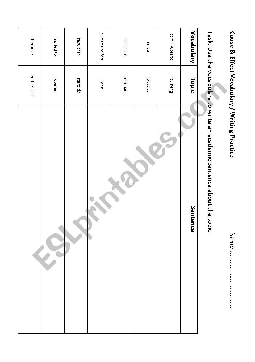 Cause Effect Vocabulary worksheet