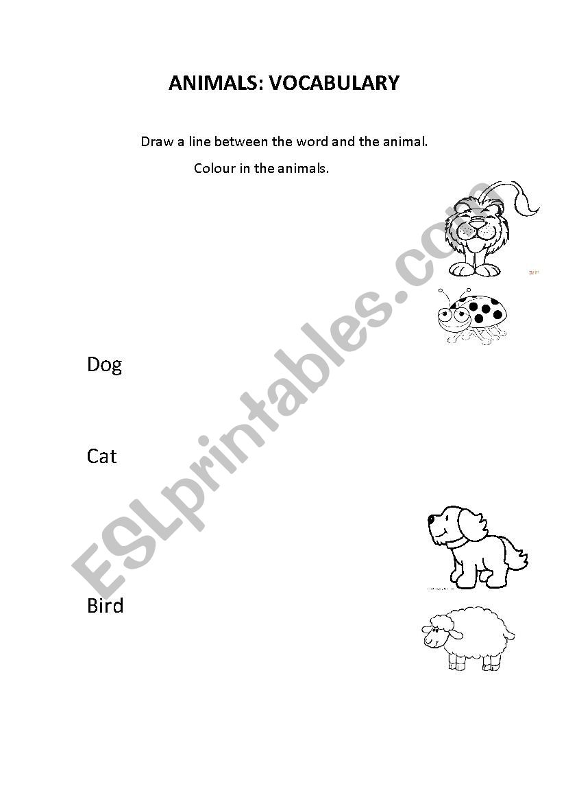 Animals - Vocabulary worksheet