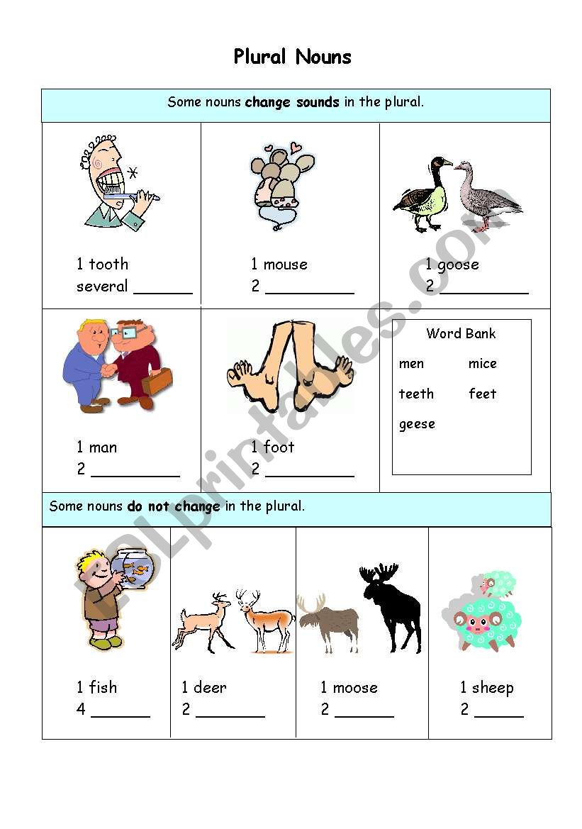 Plural Nouns worksheet