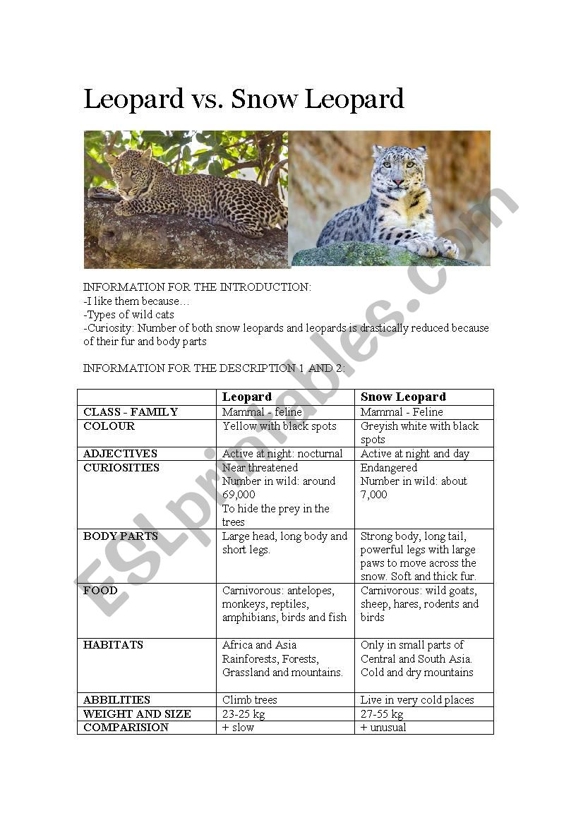 ANIMAL DESCRIPTION worksheet