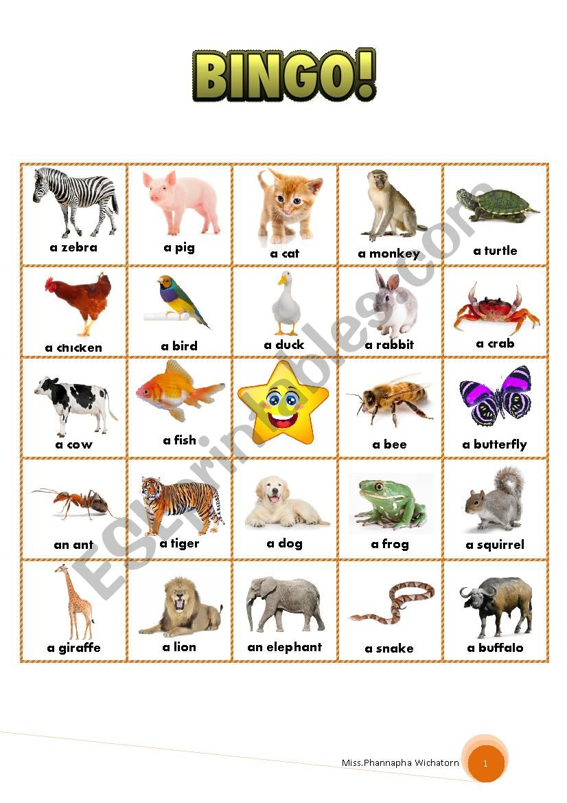 Animals bingo worksheet