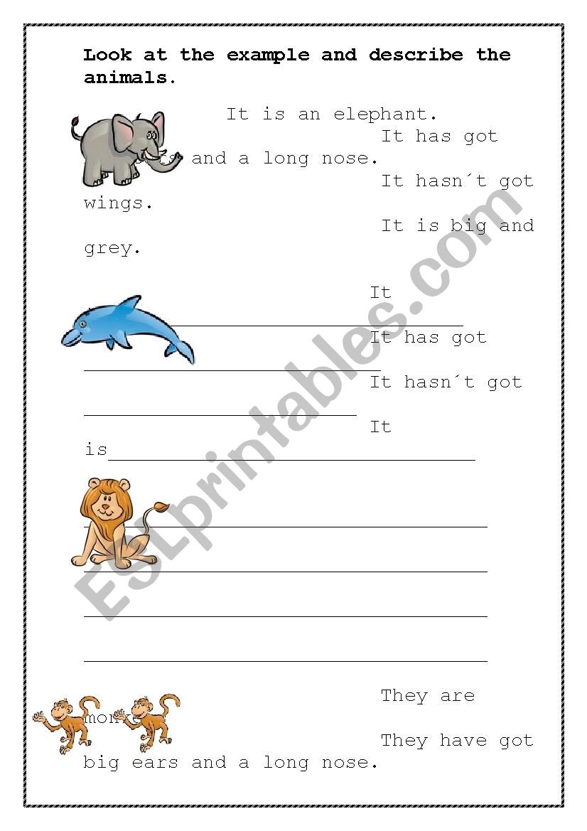 Describing animals worksheet