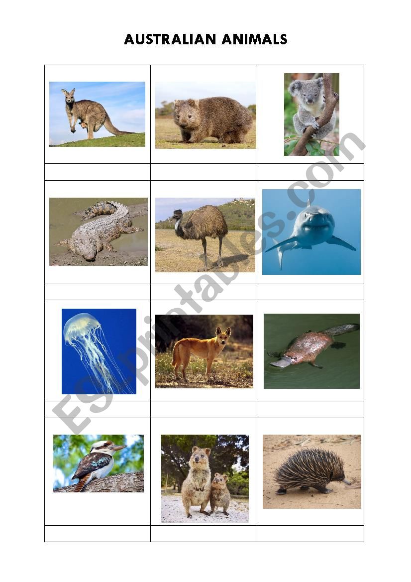 Australian animals + solution worksheet