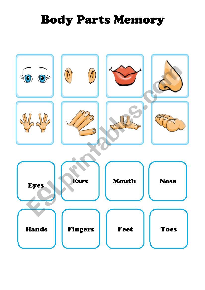 body parts flashcards worksheet