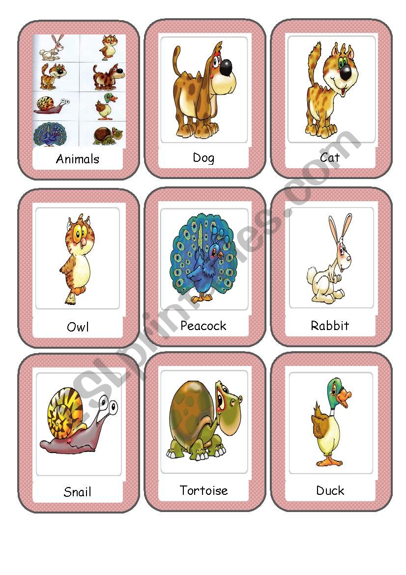 animal flashcards worksheet