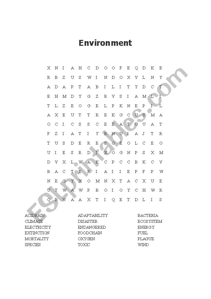 Environment Worksheet worksheet