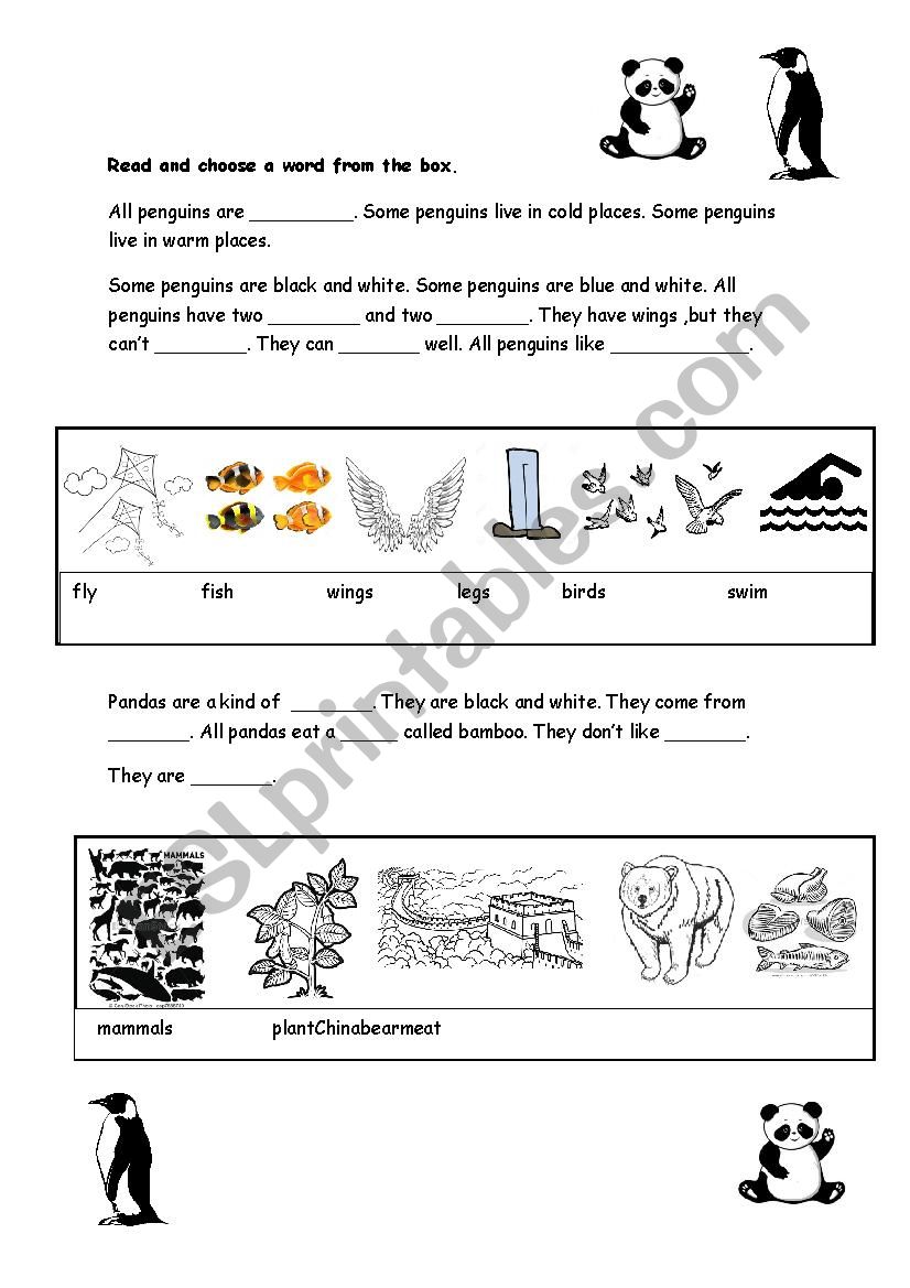 animals worksheet