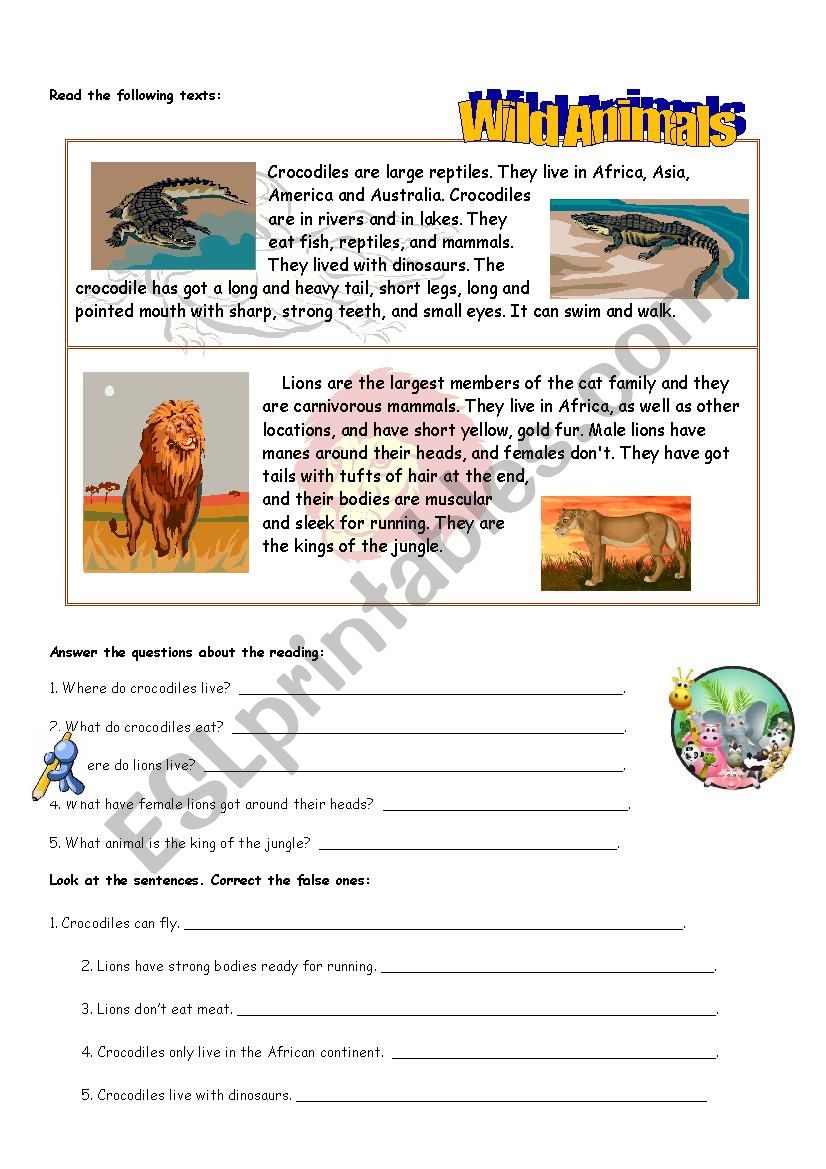 READING ANIMALS worksheet