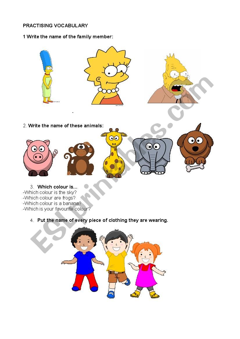Basic Vocabulary practise worksheet