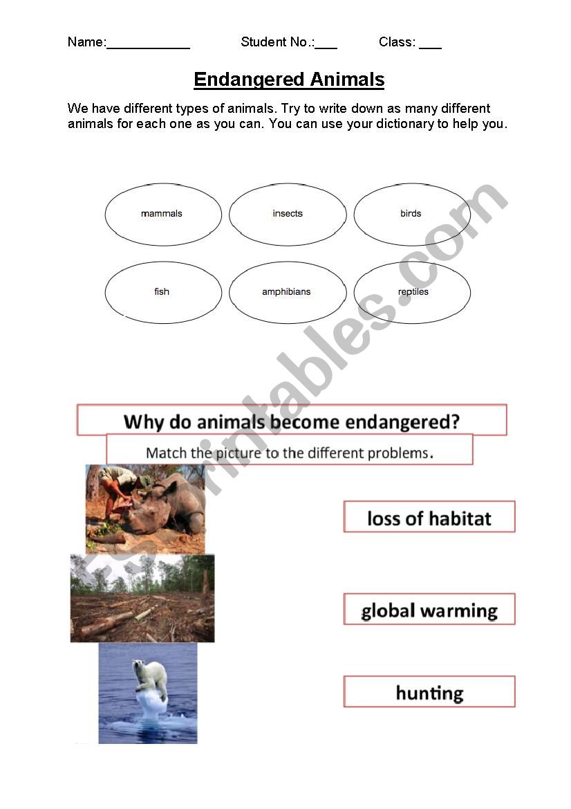 Endangered Animals worksheet